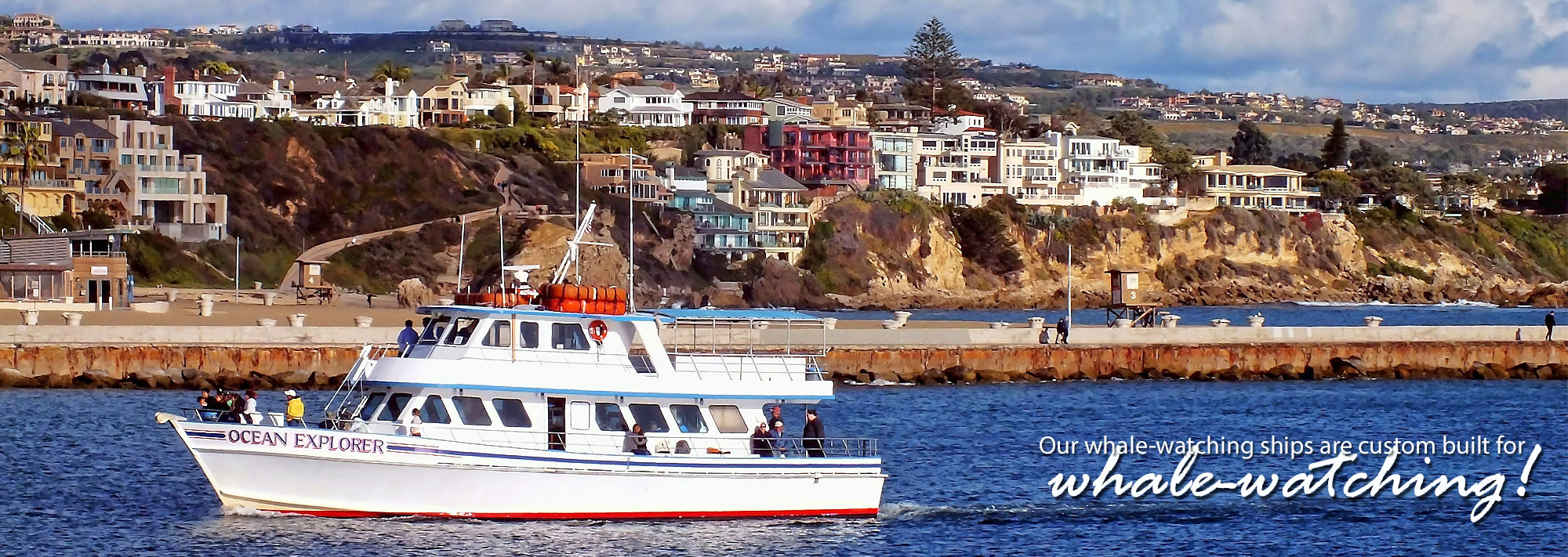 Whale Watching Dana Point Visitors $13 Cruise | Daveys Locker