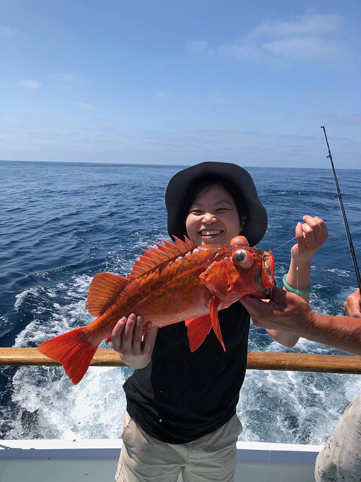 fishing reports for los