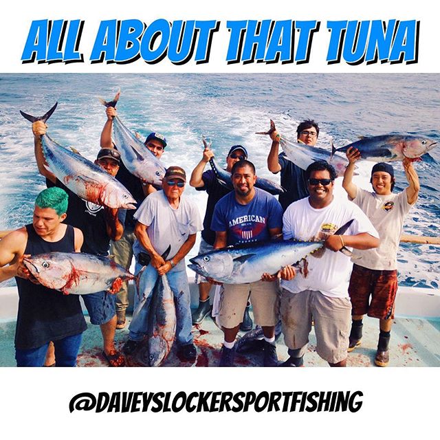 Summertime catches are C-R-A-Z-Y!!!  #daveyslocker #daveyslockersportfishing #getonaboat #bluefin #yellowfin #thunderbird #freelance  #sportfishing #deepseafishing #fishing #oc #socal #newportbeach #orangecounty #photooftheday #picoftheday #follow #followme #socal #instadaily #instagood #moldiv #instapic #vscocam #vsco #976tuna #gonefishing