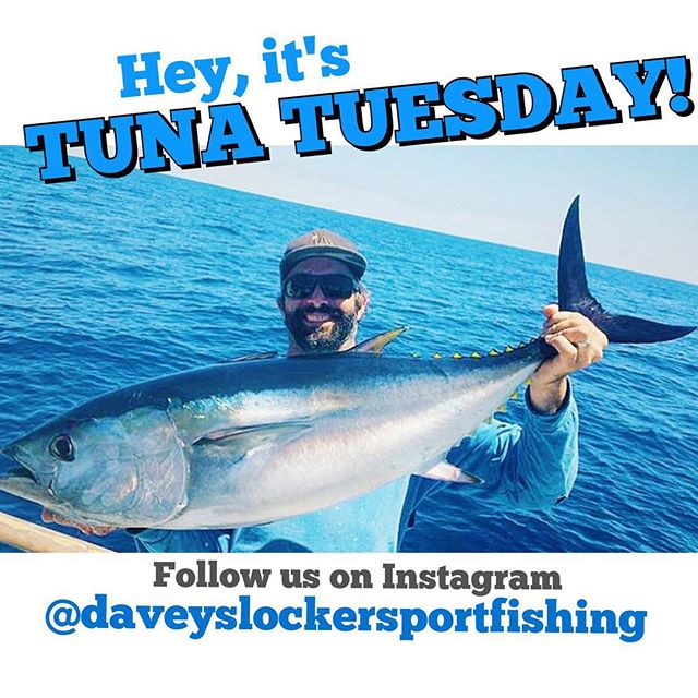 Whatchu up to today???  #bluefintuna #bluefin #yellowfin #tuna